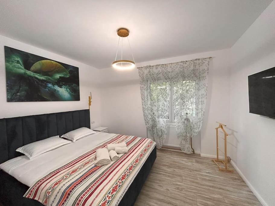Appartement Neptun Free Private Parking Timişoara